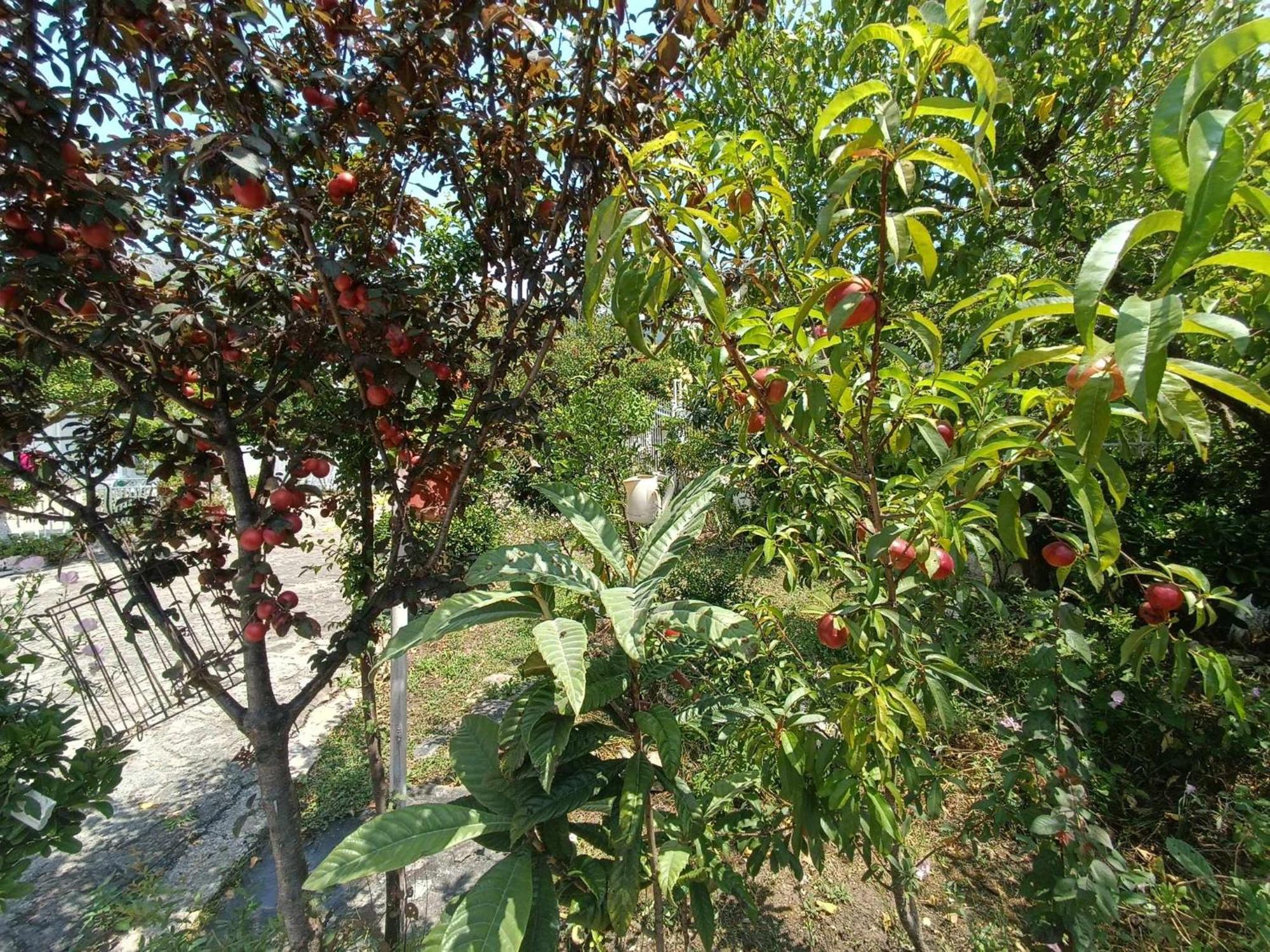 Irene'S Home Igoumenitsa Exterior foto